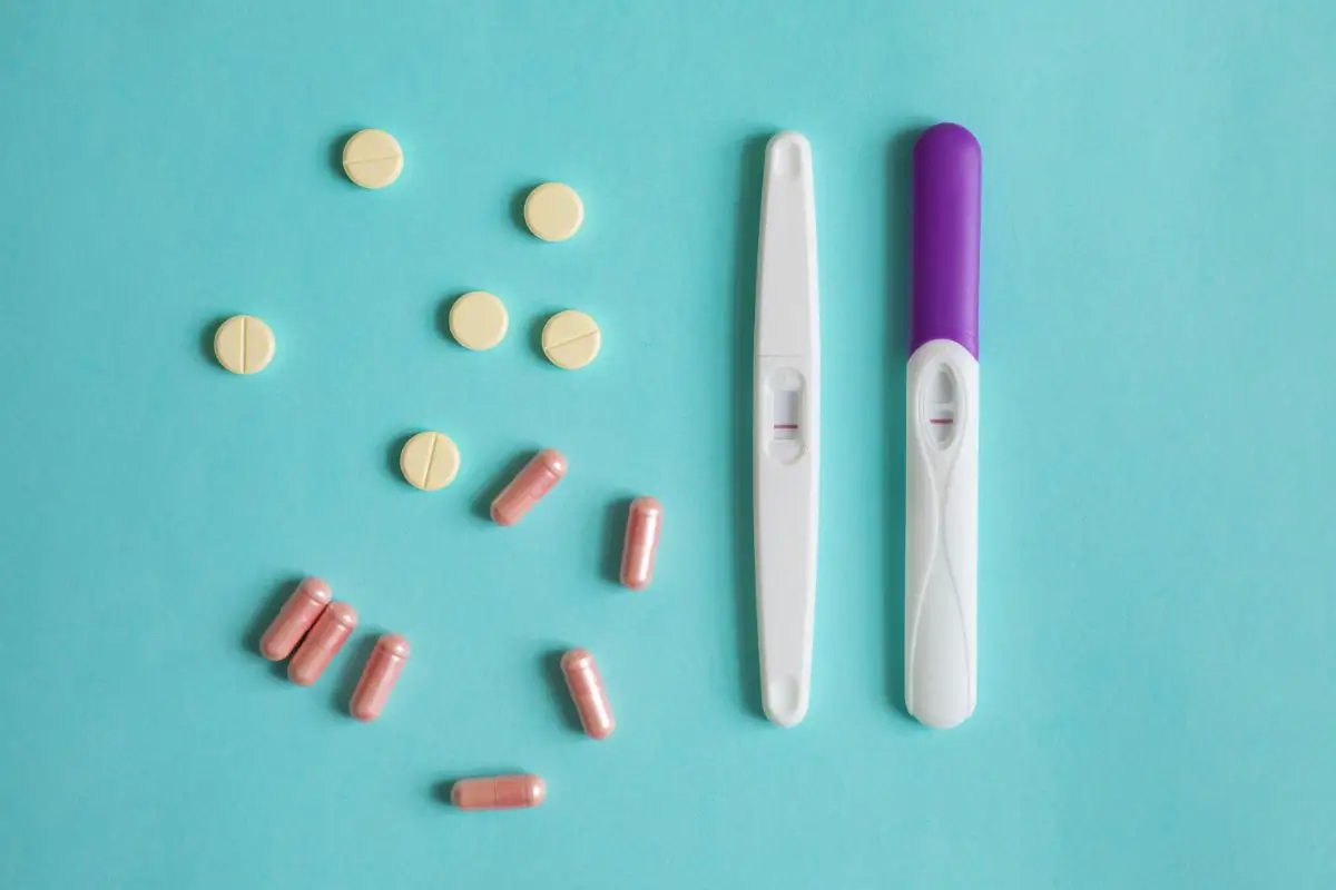 7 Key Facts About Embryo Transfer Day for IVF Success