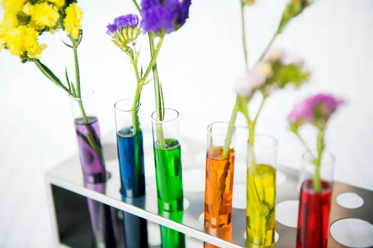 What Is Ovarian Reserve Testing?