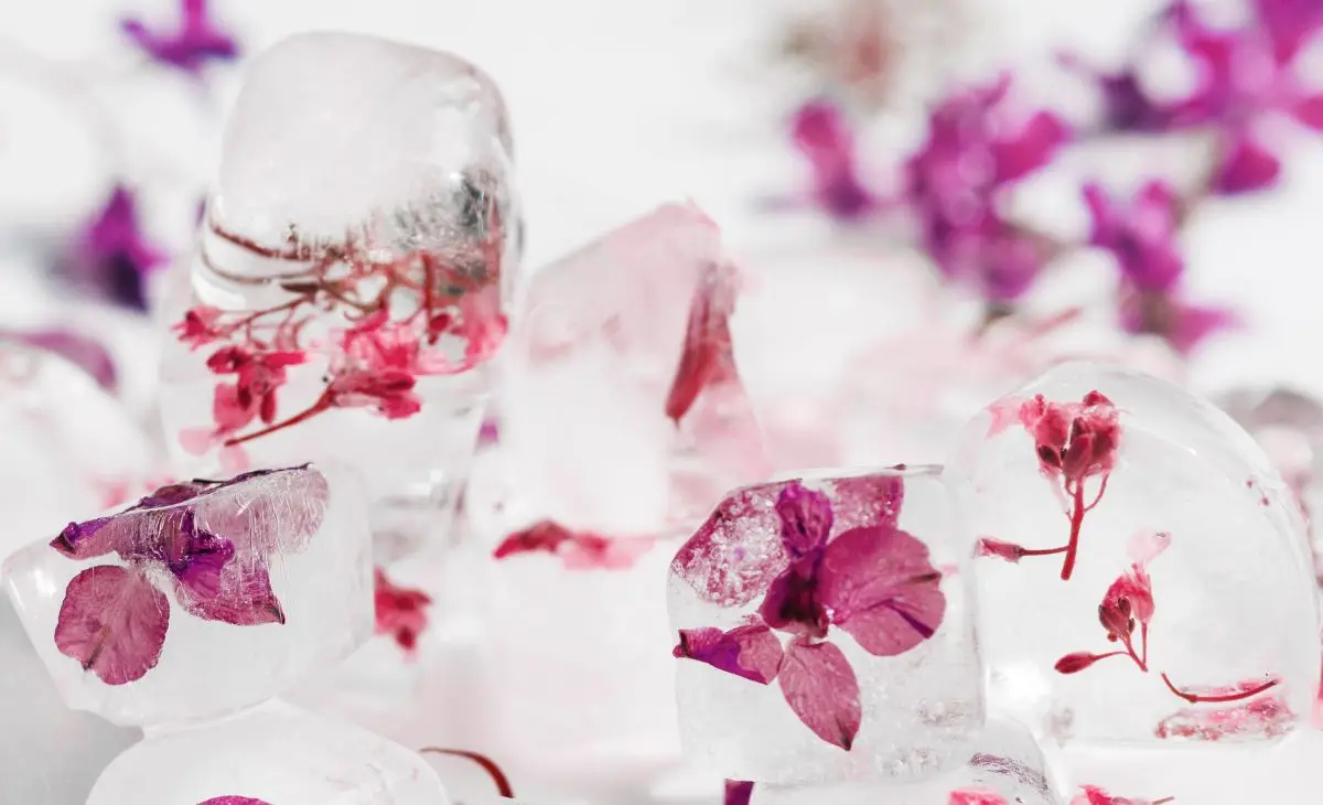 Are Two Embryos Better Than One?