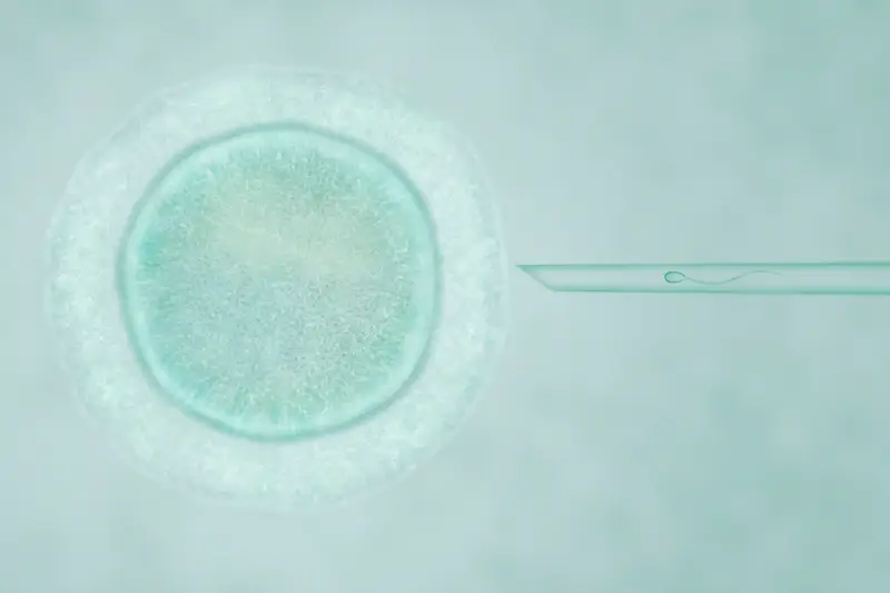Robust Embryology Protocols