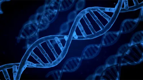 genetic testing