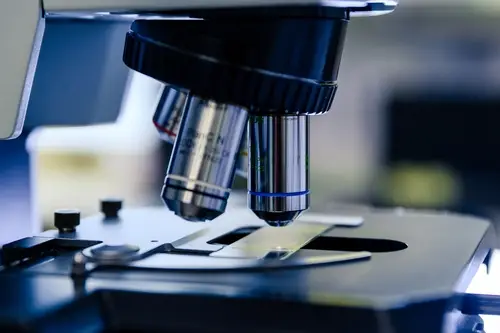 Our expertise in male fertility