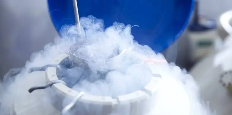 Sperm Freezing