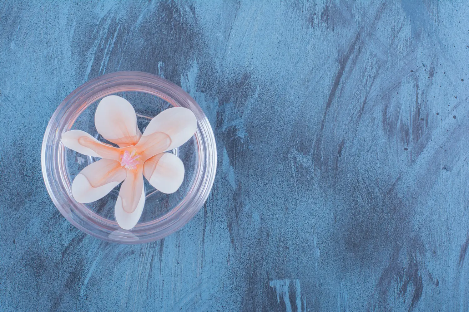 Day 3 vs. Day 5: When Is the Best Time to Transfer an Embryo?