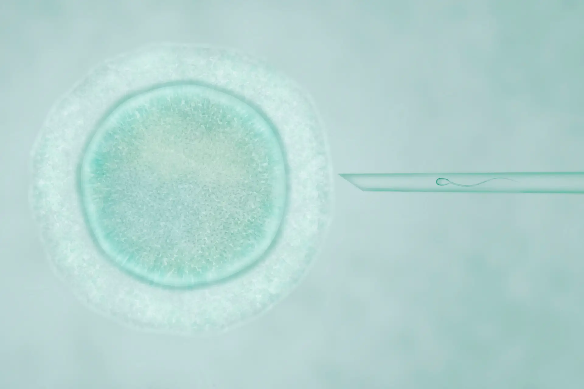 Mini-IVF vs. Traditional IVF: Key Benefits and Drawbacks to Consider