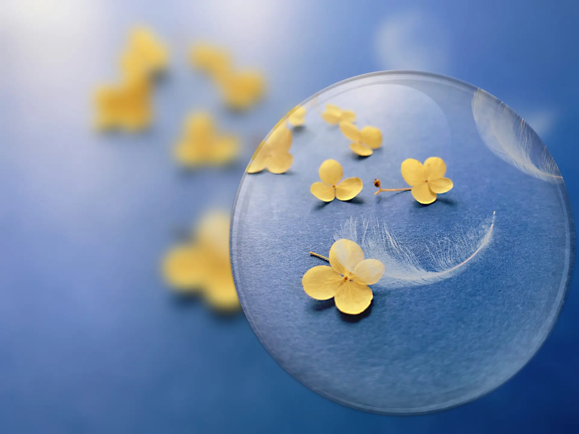 Does IVF Mean a C-Section is Inevitable?